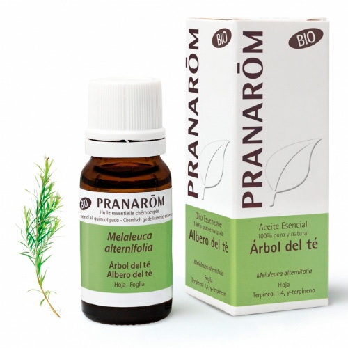 Pranarom aceite arbol te