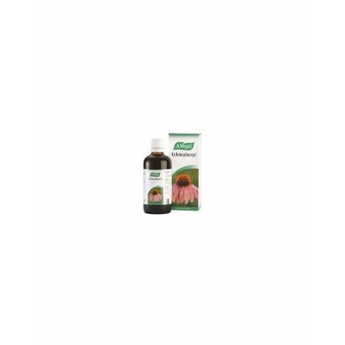 Echinaforce gotas - a vogel (1 envase 100 ml)