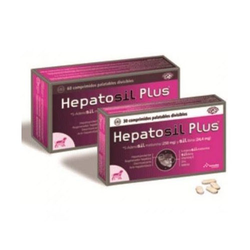 Hepatosil plus 30 comp