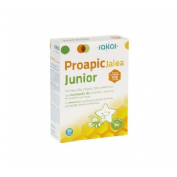 Proapic jalea real infantil junior 20 amp sakai